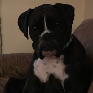 Meet your Posher, Erica